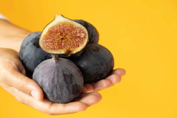 istock Woman Showing Fresh Figs 1509140894