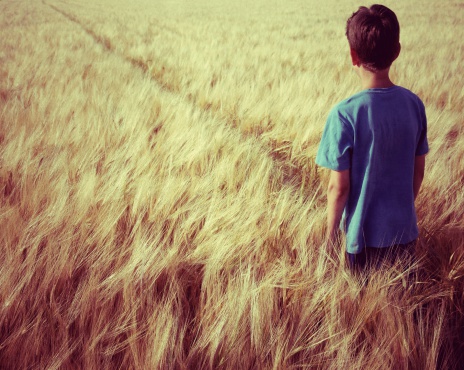 Boy (aged 10 years) standing alone in an endless golden barley field. The shot was taken in soft available sunlight shortly before sunset.