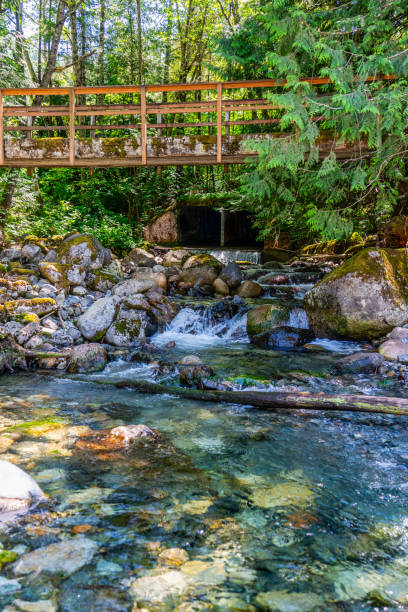 istock Rocky Mountain Stream Landscape 5 1509156932