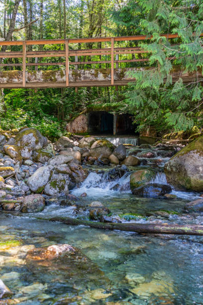 istock Rocky Mountain Stream Landscape 6 1509158014