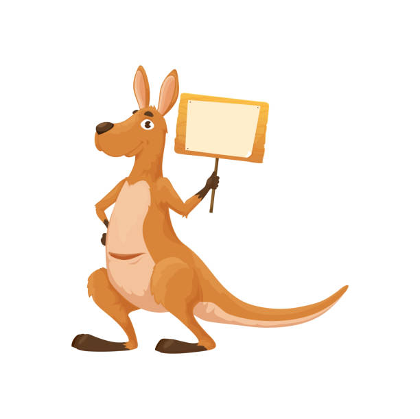 animowany kangur z tablicą z szyldem, śmieszna wallaby - kangaroo cute facial mask mammal stock illustrations