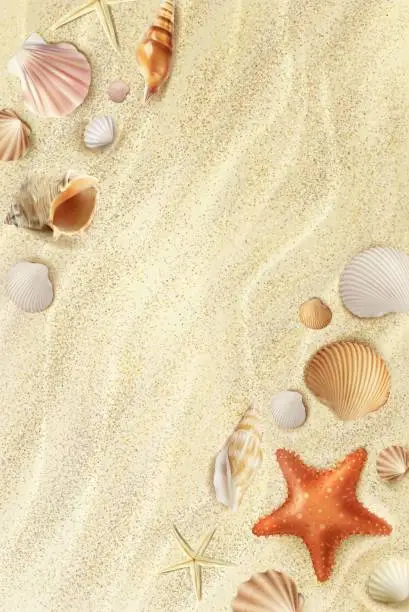 Vector illustration of Realistic beach seaside top view with seashells