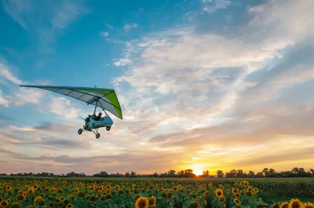 Photo of Motorized hang glider trike plane flies low above beautiful sunflower field