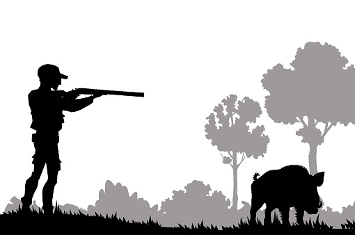 Hunting silhouette. Hunter with shotgun and boar on forest nature landscape vector background. Hunt sport scene with silhouette of hunter aiming and shooting wild hog animal with rifle or gun