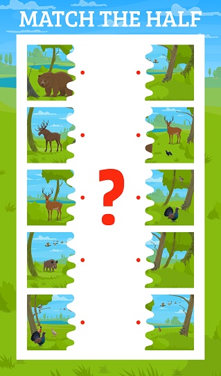 Match the half of cartoon hunting forest animals and birds. Kids vector game worksheet with turkey, duck, boar, goose, bear, deer, fox, hare, elk and lynx wildlife creatures in summer wood riddle task