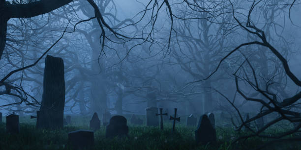 저녁에 묘지에 잎이 없는 나무와 무덤. 3d 렌더링 - cemetery 뉴스 사진 이미지