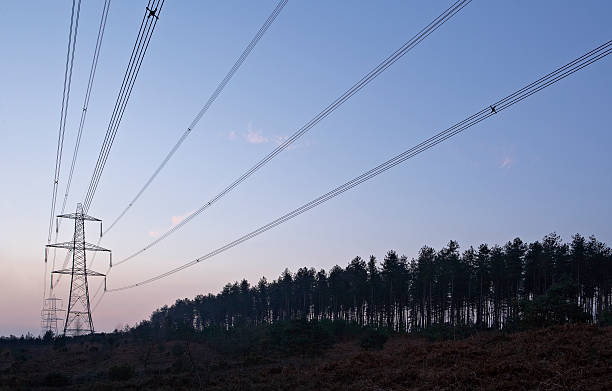 New Forest Pylon and trees stock photo