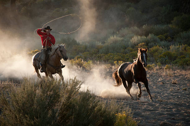 istock Cowboy on running hose, roping a wild stallion 150923566