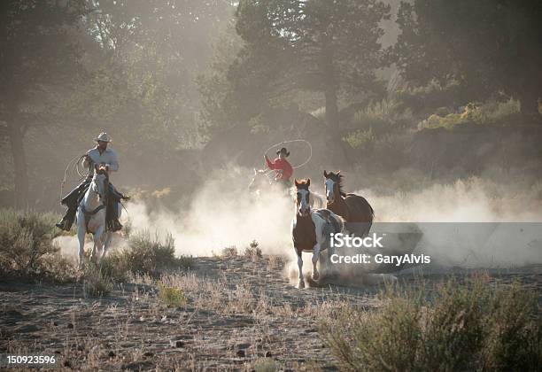 Los Caballos Foto de stock y más banco de imágenes de Actividad - Actividad, Agricultura, Aire libre