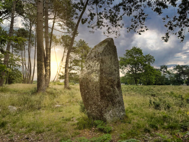 neolithic standing stone Carnac Brittany France solitary neolithic standing stone Carnac Brittany France megalith stock pictures, royalty-free photos & images