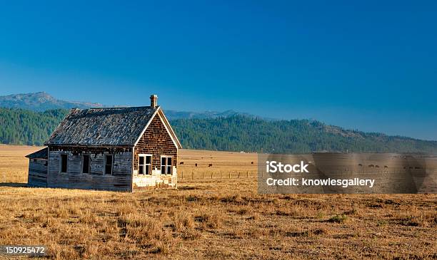 Foto de Os Pioneiroslivro e mais fotos de stock de Animal doméstico - Animal doméstico, Campo, Casa