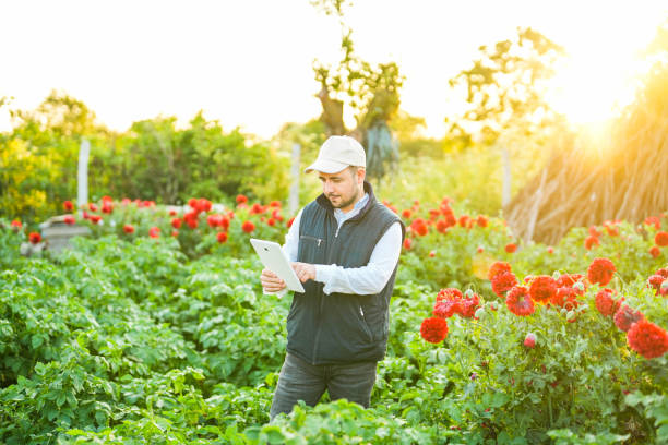 istock agricultural engineer holding tablet in vegetable garden 1509261902