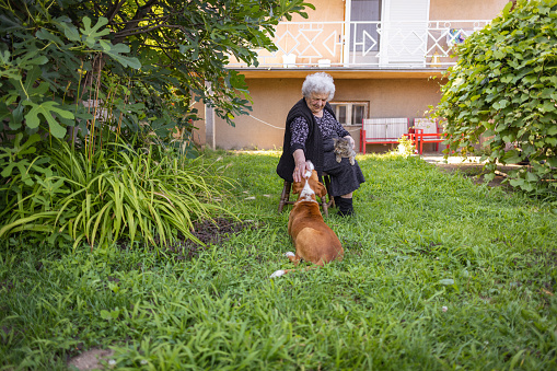 Elderly woman enjoying her time with a dog she adopted after feeling very lonely