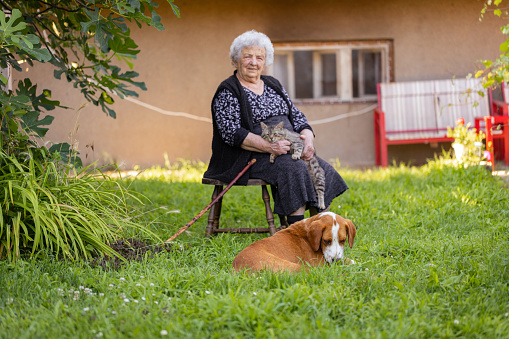Also pet ownership is often proposed as a solution to the problem of loneliness in later life and retirement