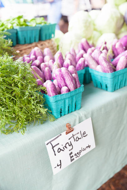 berinjela de conto de fadas no mercado de um fazendeiro - eggplant farmers market purple agricultural fair - fotografias e filmes do acervo