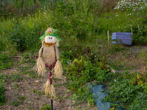 A couple of scarecrows standing within a fall landscape of turning leaves.