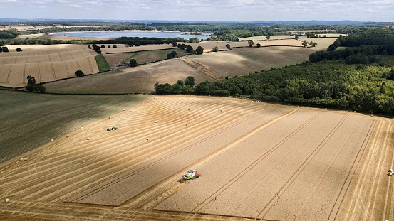 An aerial view of a vast wheatfield in the process of being harvested, providing a bountiful supply of crops
