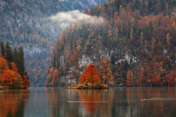 mattina d'autunno vista del lago konigsee nel parco nazionale di berchtesgaden, germania - koenigsee foto e immagini stock