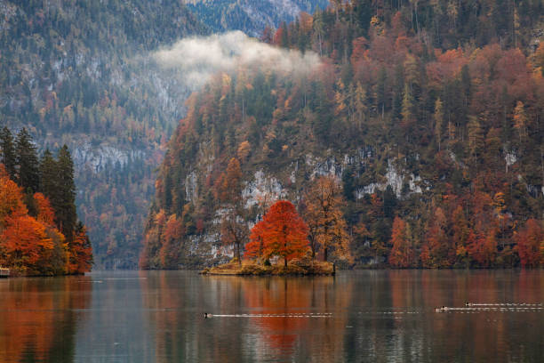 осенний утренний вид на озеро кенигзее в национальном парке берхтесгаден, германия - konigsee стоковые фото и изображения
