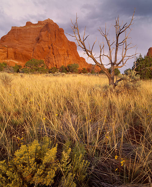 Red Rock and Stormy Sunset