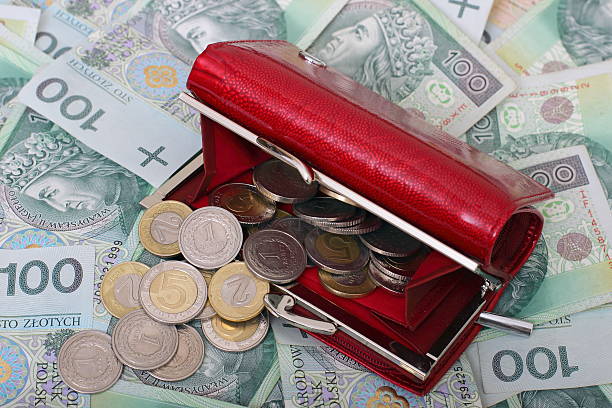 Polish money and wallet stock photo