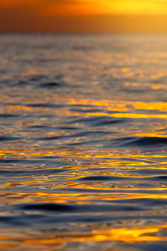 istock An abstract image of golden light reflected on the surface of the evening sea. 1509365912