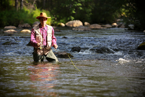 Fly fisherman stands knee deep in river. Adobe RGB