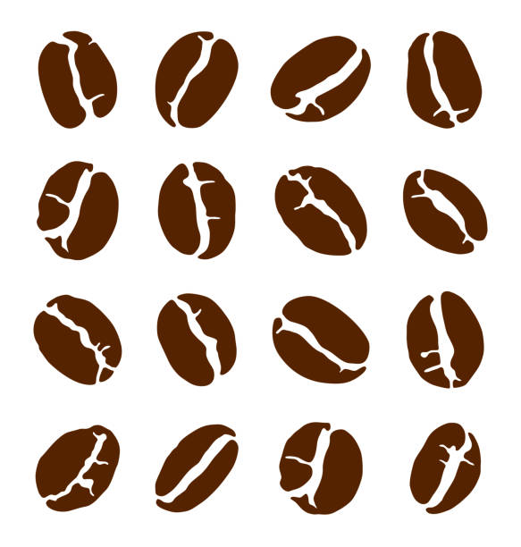 kaffeebohnen-icon-set. vektorillustration von kaffeebohnen für kaffeeherstellung, cafés und restaurants - coffee beans stock-grafiken, -clipart, -cartoons und -symbole