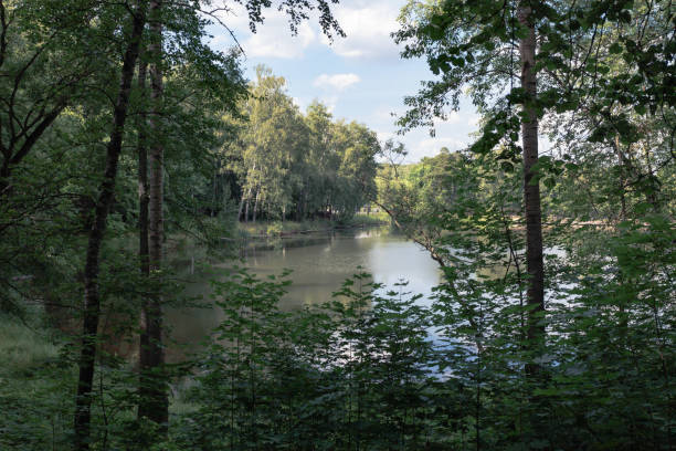 istock Landscape with a river and trees in the forest in summer. 1509401791