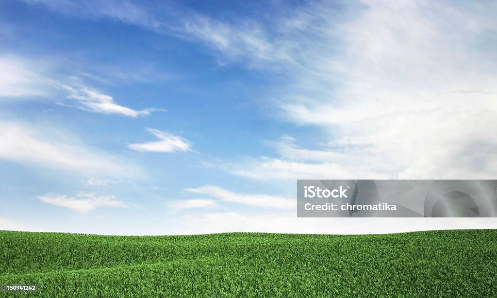 Cielo y de la hierba - Foto de stock de Aire libre libre de derechos