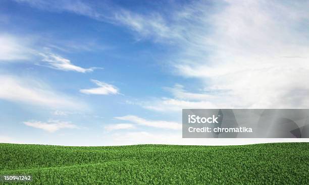 Cielo Y De La Hierba Foto de stock y más banco de imágenes de Aire libre - Aire libre, Ancho, Azul