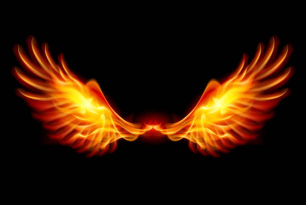 burning wings - bright brightly lit vibrant color burning stock-grafiken, -clipart, -cartoons und -symbole