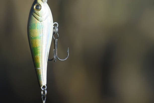 Fishing wobbler and hook close-up. Mock-up for the inscription, copy space.