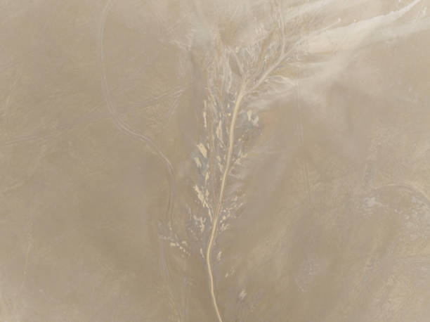 istock Natural shapes and textures on lake 1509483253