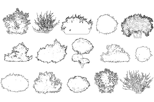 Set of bush and bare bush, decorative garden plants, contour. Vector illustration