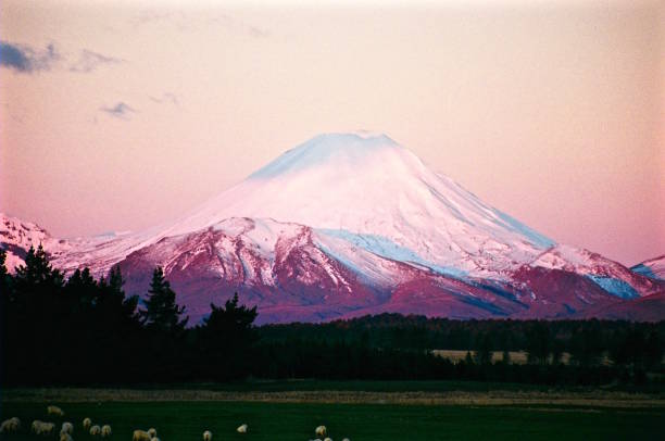 istock New Zealand 1509510877