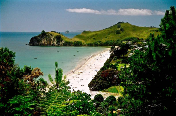 istock New Zealand 1509511189