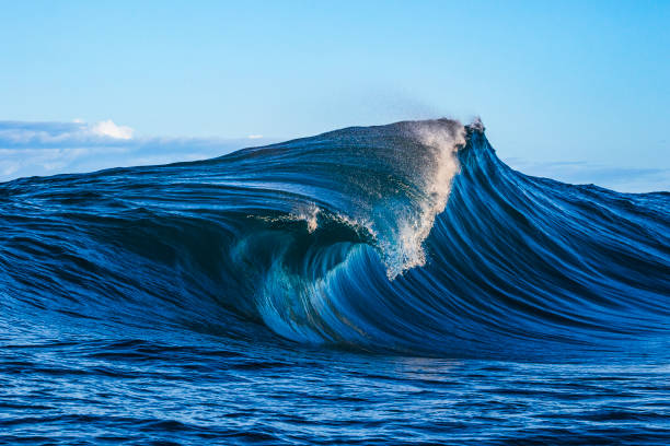 istock Bright blue ocean wave breaking powerfully over shallow reef 1509511716