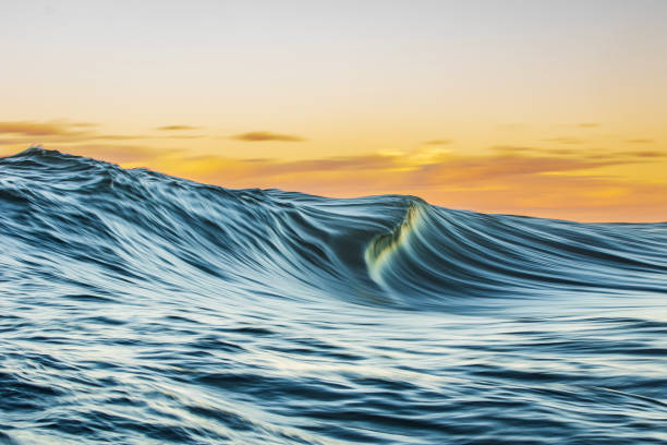 istock Abstract motion blur of smooth ocean wave breaking over shallow reef in golden light 1509511748