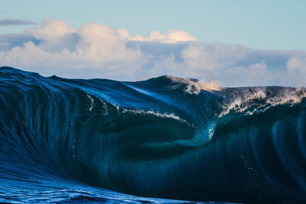 istock Bright blue ocean wave forming over shallow reef 1509512282