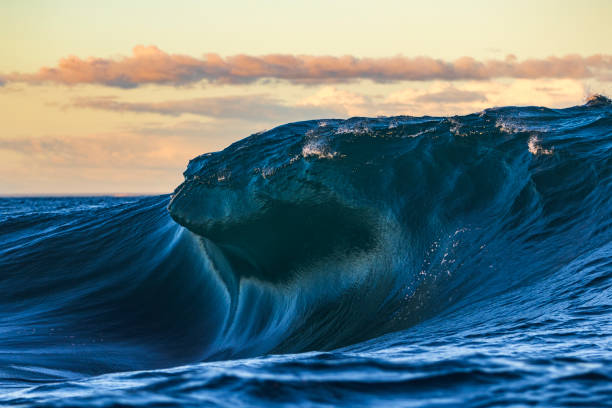 istock Bright blue ocean wave forming over shallow reef in golden morning light 1509512809
