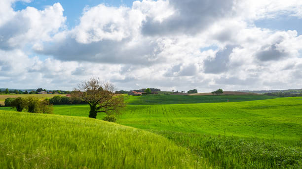 French countryside stock photo