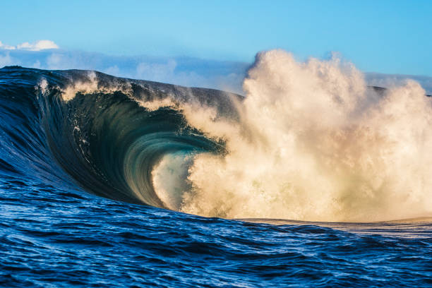 istock Bright blue abstract ocean wave breaking over shallow reef in golden morning light 1509513346