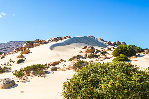 Picturesque view of beach and sand dune along remote coastline of Western Australia on a sunny day.