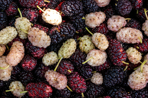 Heap Of Delicious Ripe Black Mulberries As Background, Closeup