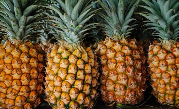 istock Array of fresh ripe pineapples are lined up on an outdoor table in a row 1509576392