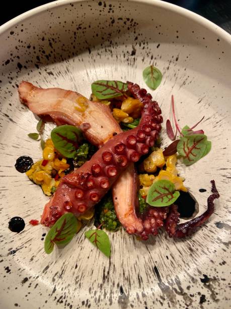 istock octopus tentacle with squid ink plate decoration and salad restaurant 1509578648
