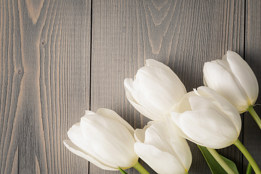 white tulips on wood background from above, with copy space