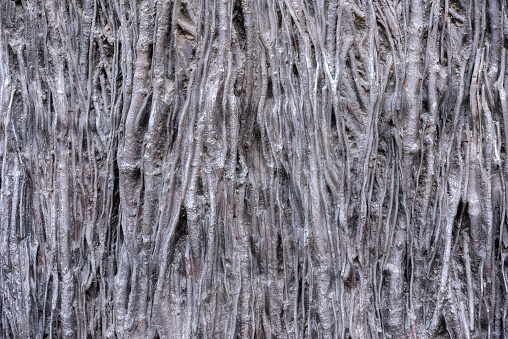 Tree trunk background. Ideal to use as backgrounds.