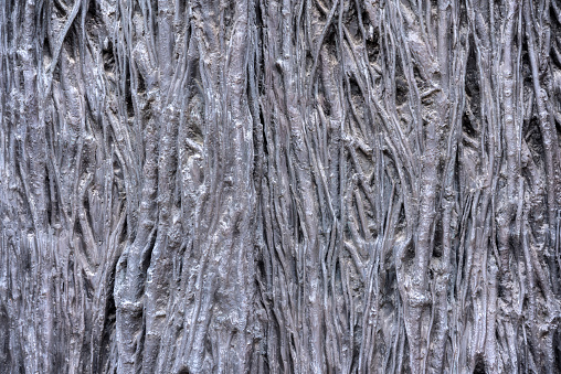 Tree trunk background. Ideal to use as backgrounds.